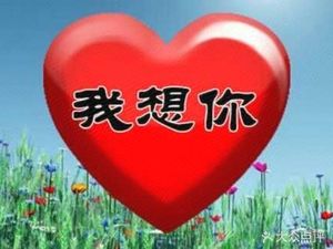 Authentic Jianyang Dong's Lamb Restaurant (Linli Jiayuan Branch)