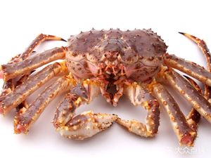 Wanjin Seafood Supermarket (Qingshi Branch)