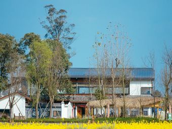 Dietary Research Institute · Small Courtyard Restaurant