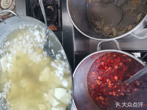 Mung Bean Flower Tripe and Blood Curd