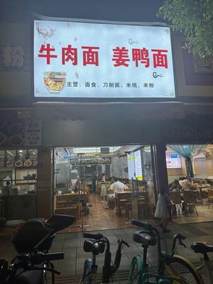 Beef Noodle and Ginger Duck Noodle