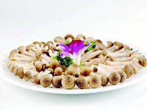 Wei Dao Spicy Cuisine (Fu He Xing Cheng Branch)