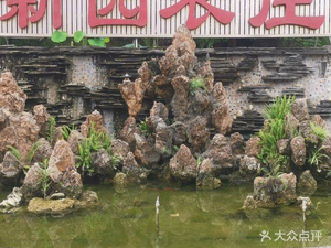 Xinyuan Farm