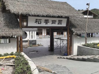 Rice Fragrance Countryside