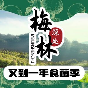 Meilin Deep in the Woods Wild Stone Pot Mushroom Soup Restaurant (Cujiao Branch)
