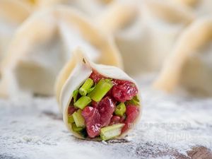 Jia Xi Northeast Dumplings