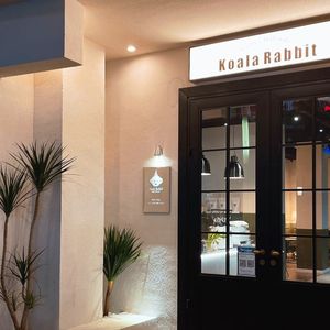 Koalarabbit Coffee