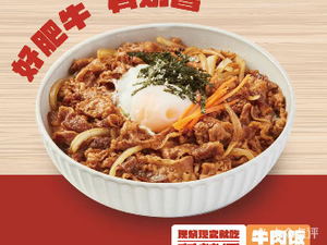 Big Bowl Beef Noodle Rice