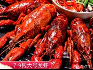 Shark Crab Workshop · Pippies