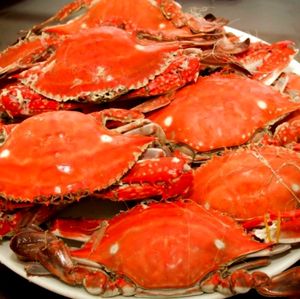 Steam Oyster Fresh · Wenzhou Seafood · Stir-fry (Gongshu Wanda Store)