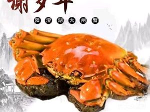 Xie Sui Nian Yangchenghu Crab (Qingchun Road Store)