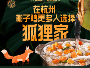Fox Loves Coconut Chicken (EFC European Plaza Branch)