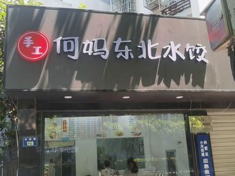 Aunty He Northeast Dumplings (Hexin Nan Yuan Store)