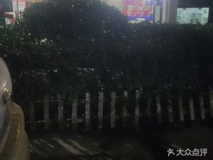 Chongqing Sour Fish Restaurant (Yaqian Road Branch)