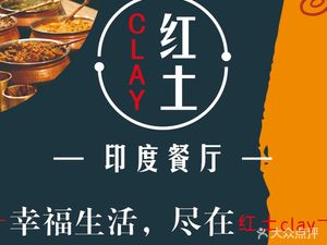 Hongtu CLAY New Indian Cuisine (Qingnian Road Store)