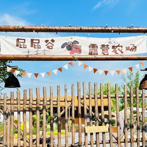 PiPi Farm · Pippi Valley Camping Farm · Birthday Team Building