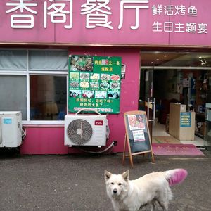 Miaoxiangge Restaurant
