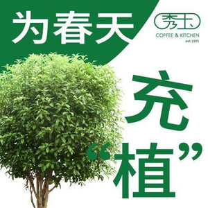 Xiuyu Coffee & Kitchen (Jinqiao Yongwang Branch)