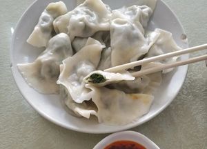 Freshly Wrapped Dumplings
