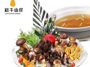 Qi Niu Shan Zhen Yunnan Wild Mushroom Hot Pot (Qingshan Park Branch)