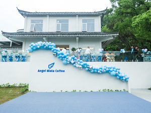 Angel Coffee (Qinglongshan Branch)