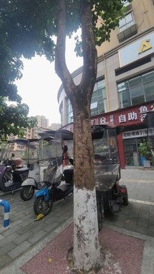 1718 Sichuan Pepper Fish Hot Pot Self-service (Hechuan Branch)