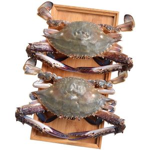 Simple Seafood