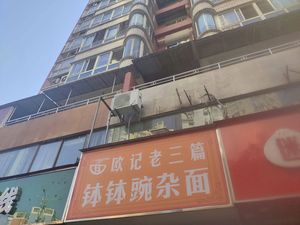 Ou Ji Laosan Spicy Noodles with Pea Starch (Fengdan Yuan Branch)