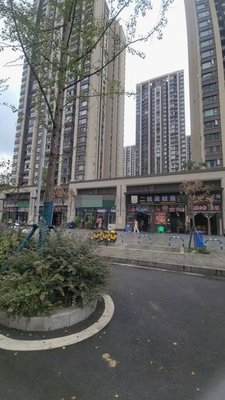 Er Wa Meiwan Fish (Jinkē Lǐyuè Dōngfāng A Area Branch)