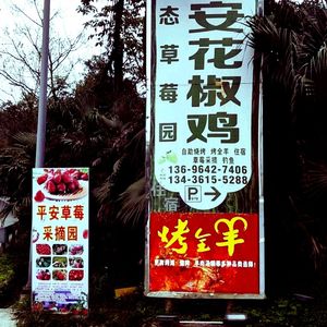 Ping'an Villa