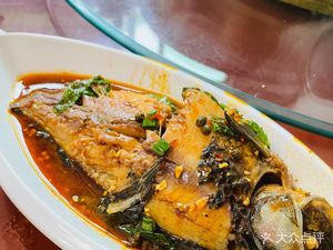 Tang Carp