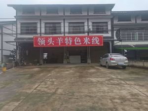 Leading Sheep Special Noodles