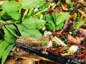 Nine Hair Root Mud Carp