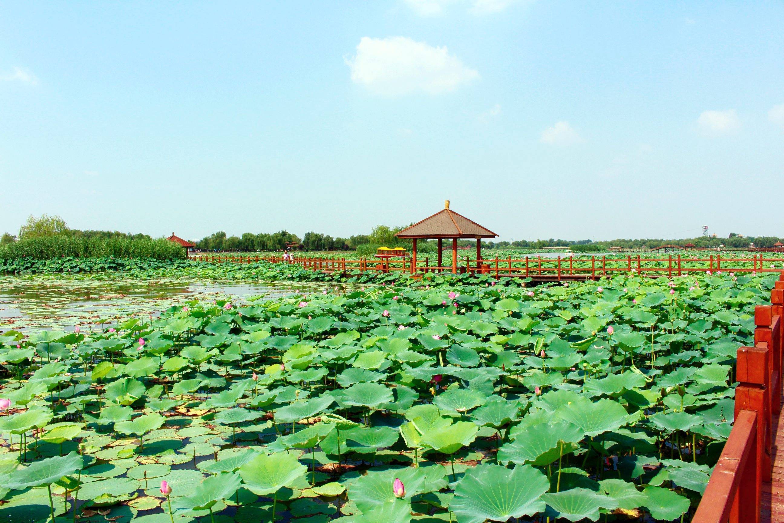 Baiyangdian