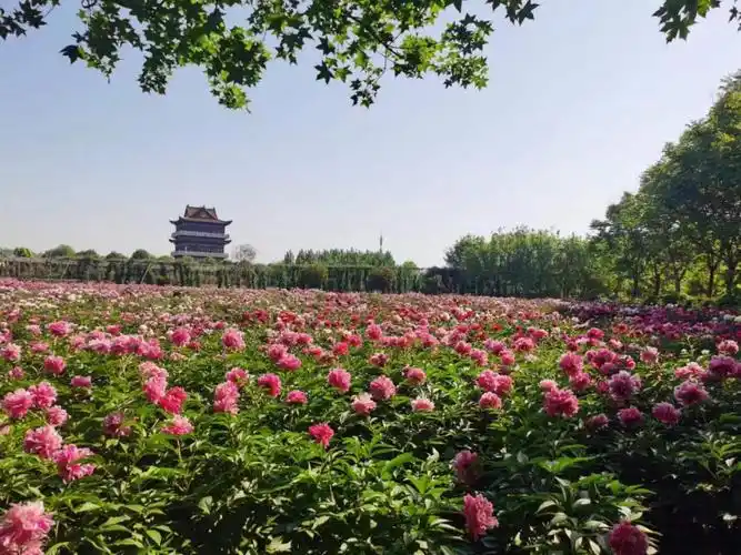 Heze Mulan Town
