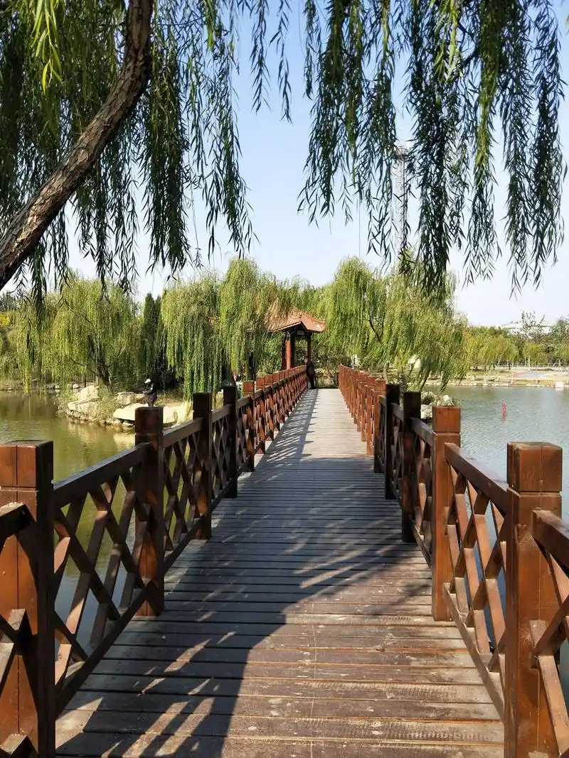 Heze Forest Park