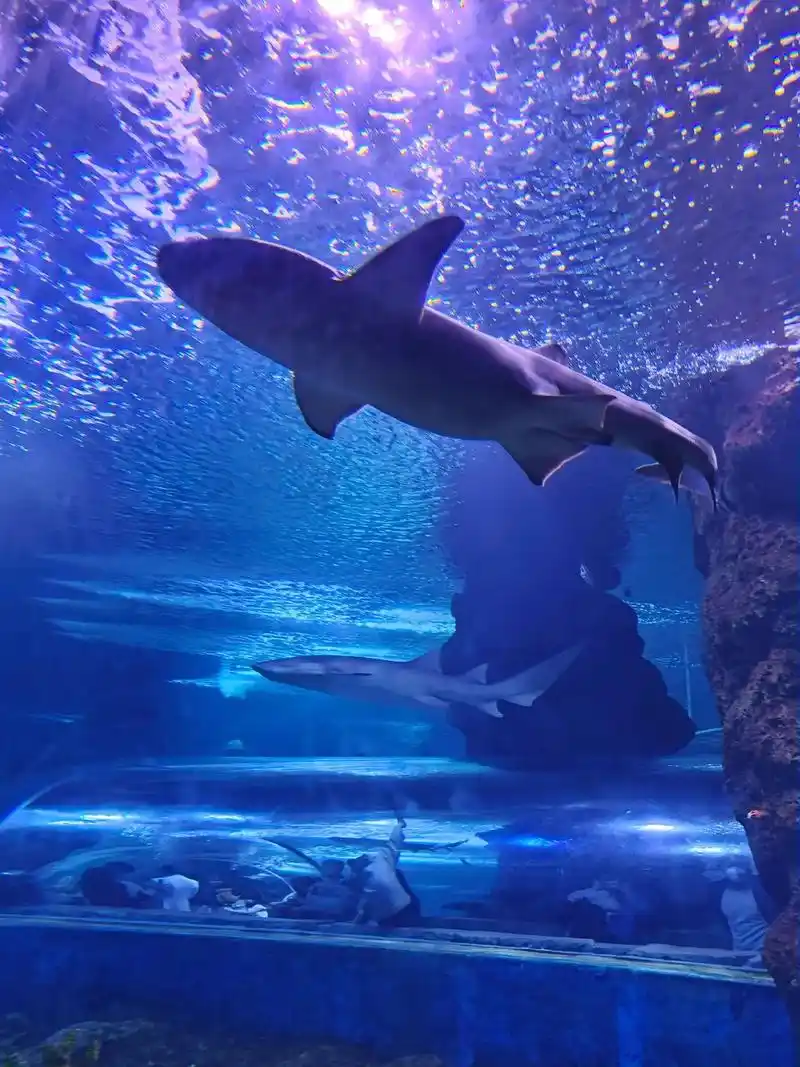 Qujiang Ocean Park