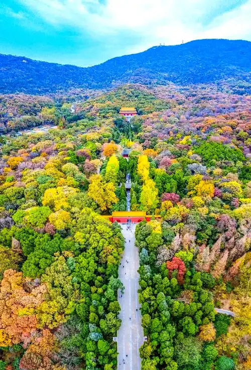 Zijin Mountain