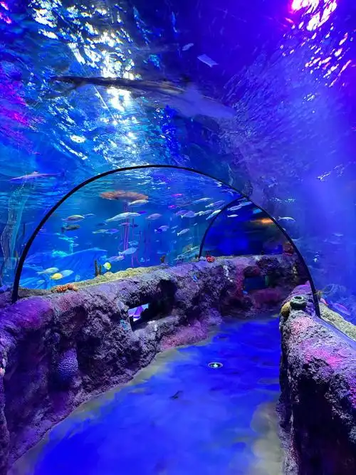 Qingdao Underwater World