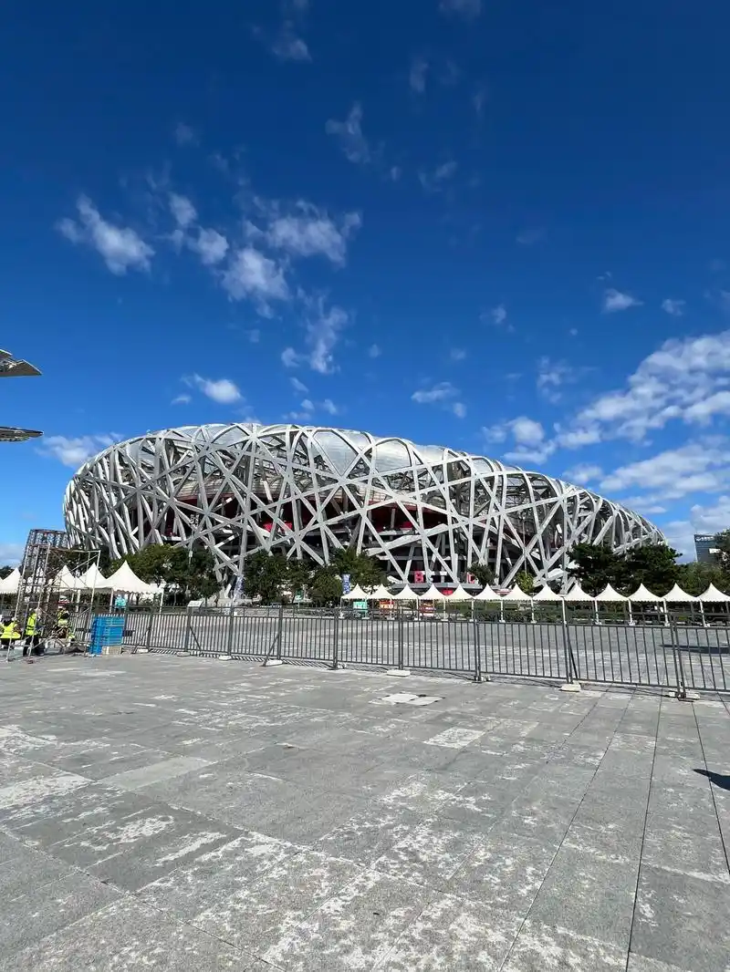 Bird's Nest