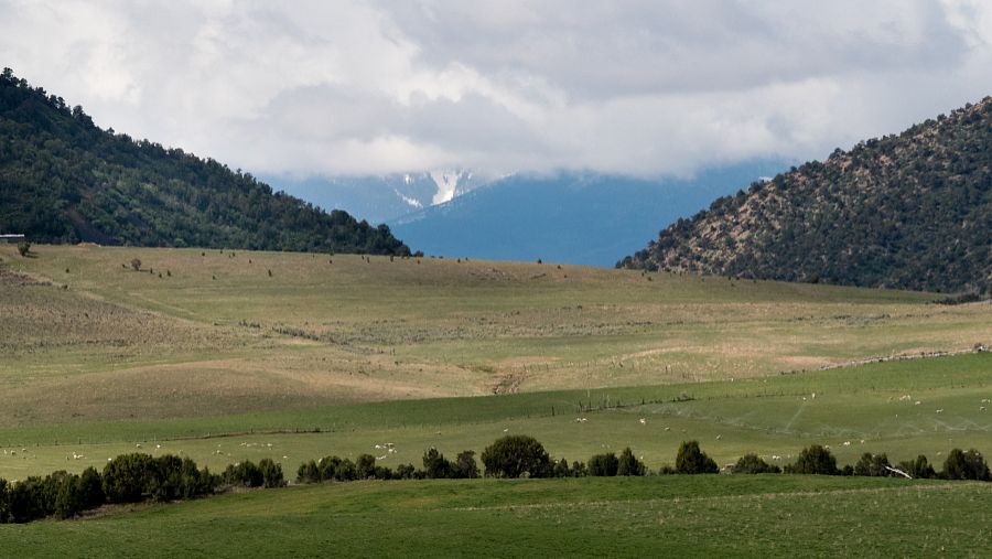 Naratili Grassland