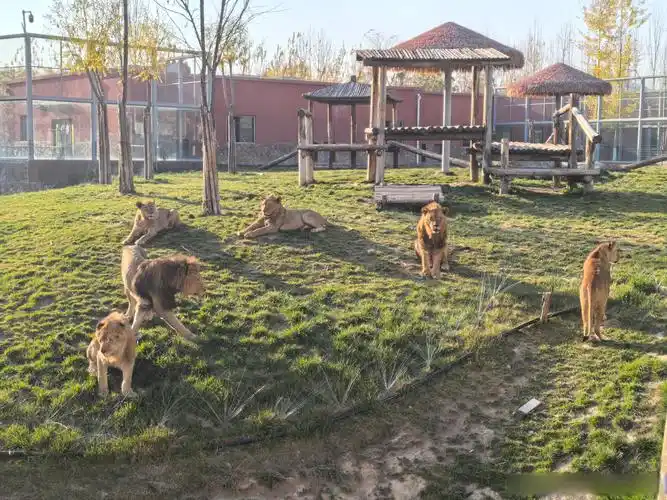 Lanzhou Animal Park