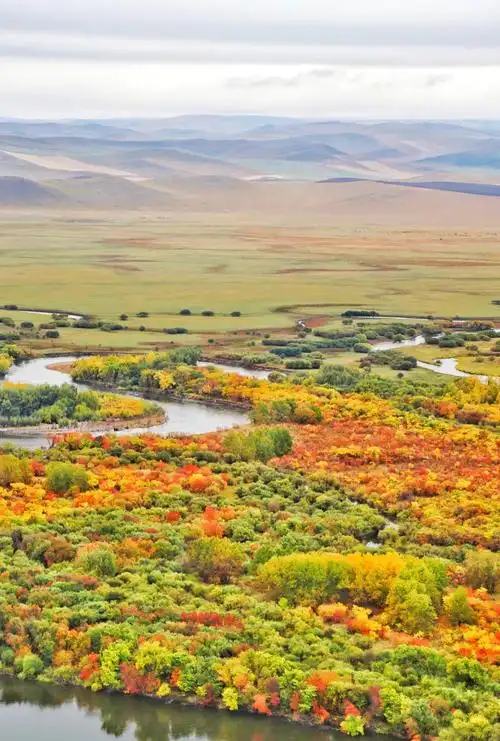 Erguna Wetland