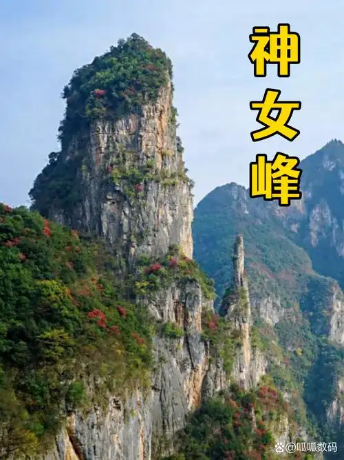 Shennv Feng