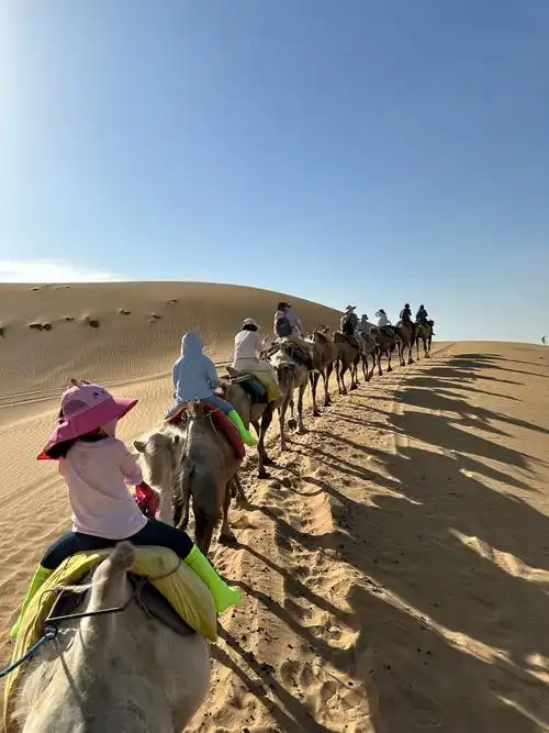 Göbi Desert