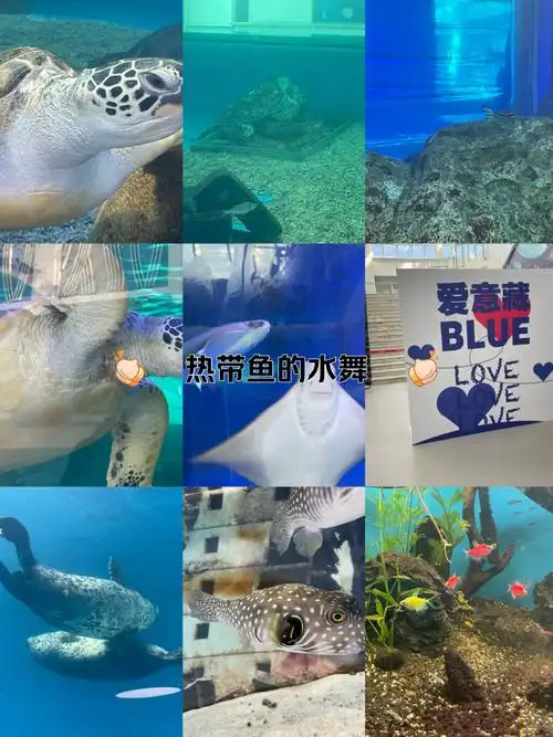 Zhizhou Ocean Park