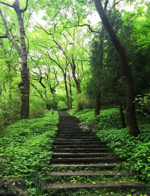 Yuhuang Mountain