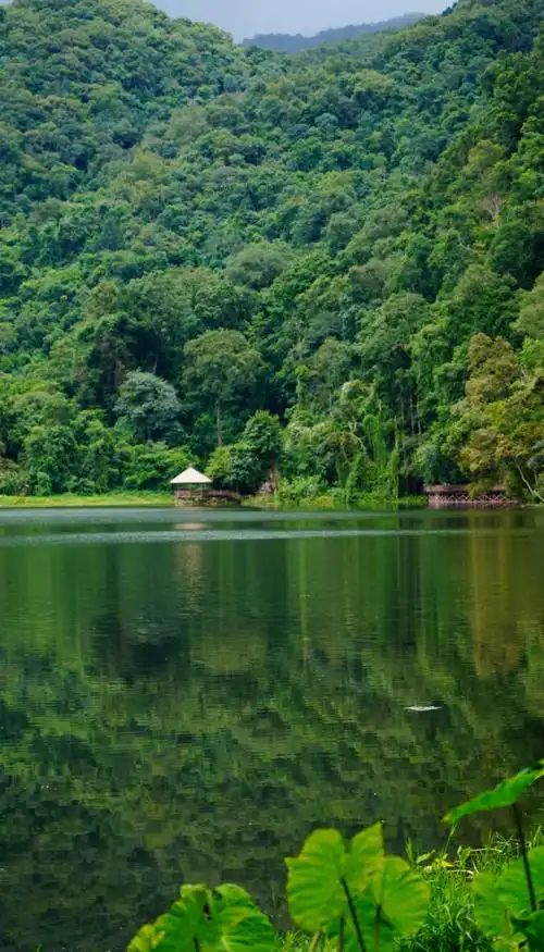 Mengshuo Longtan