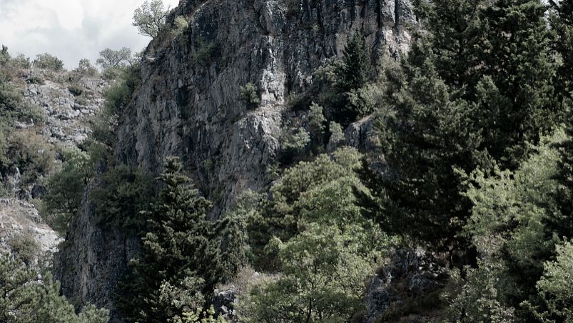 Pu'er National Park