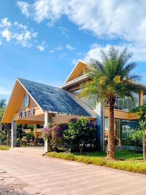Coffee Plantation